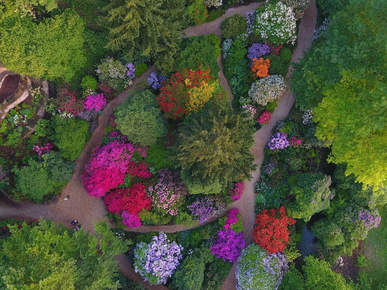 Luftaufnahme vom Rhododendrontal
