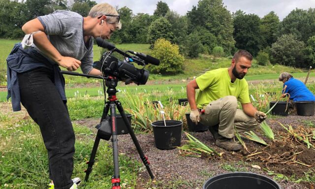 Irissammlung in der Tagesschau auf SRF