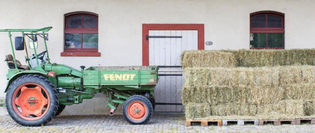 Landwirtschaft