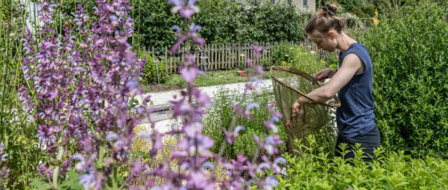 Tag der Natur: der Bericht ist da!