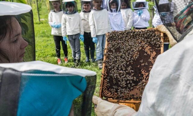  Premiere für Kinder und Bienen 