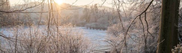 Vielfältige Gärten </br> und stimmungsvolle Momente